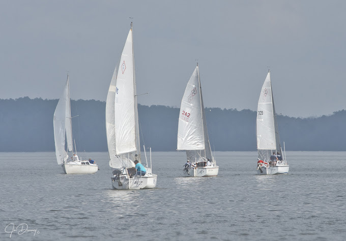 LakemartinareaOrganizationsimage