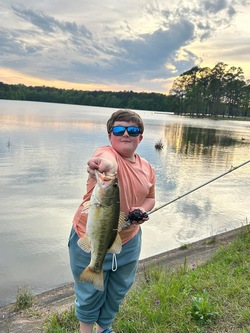 LakeMartinAreaBusinessImages