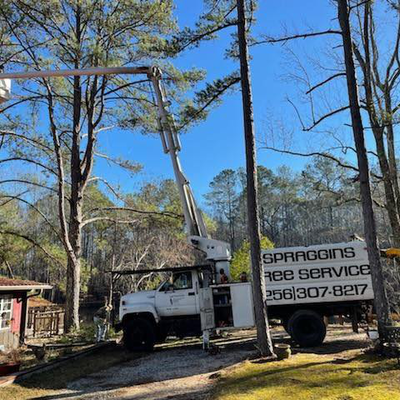 Alexander City Dadeville Lake Martin Area  Visit Vacation Live