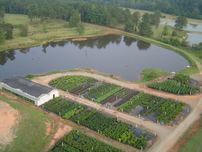 Alexander City Dadeville Lake Martin Area  Visit Vacation Live